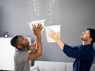 About Woodlawn MD Mold Remediation Pros - mold remediation experts in Woodlawn